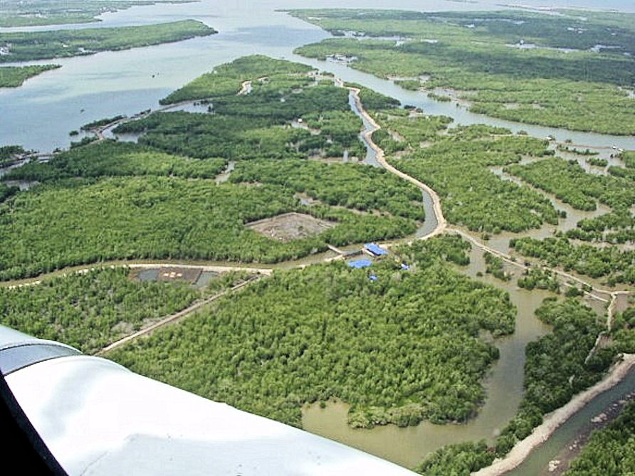 Recovery Area
